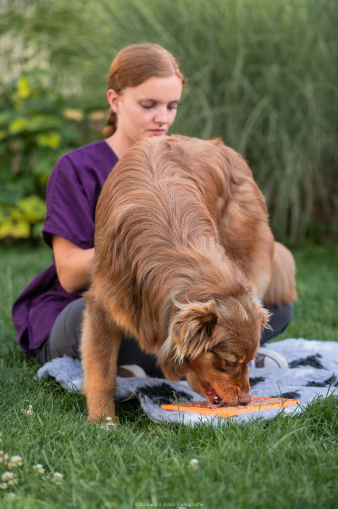 osteopathie animale marne