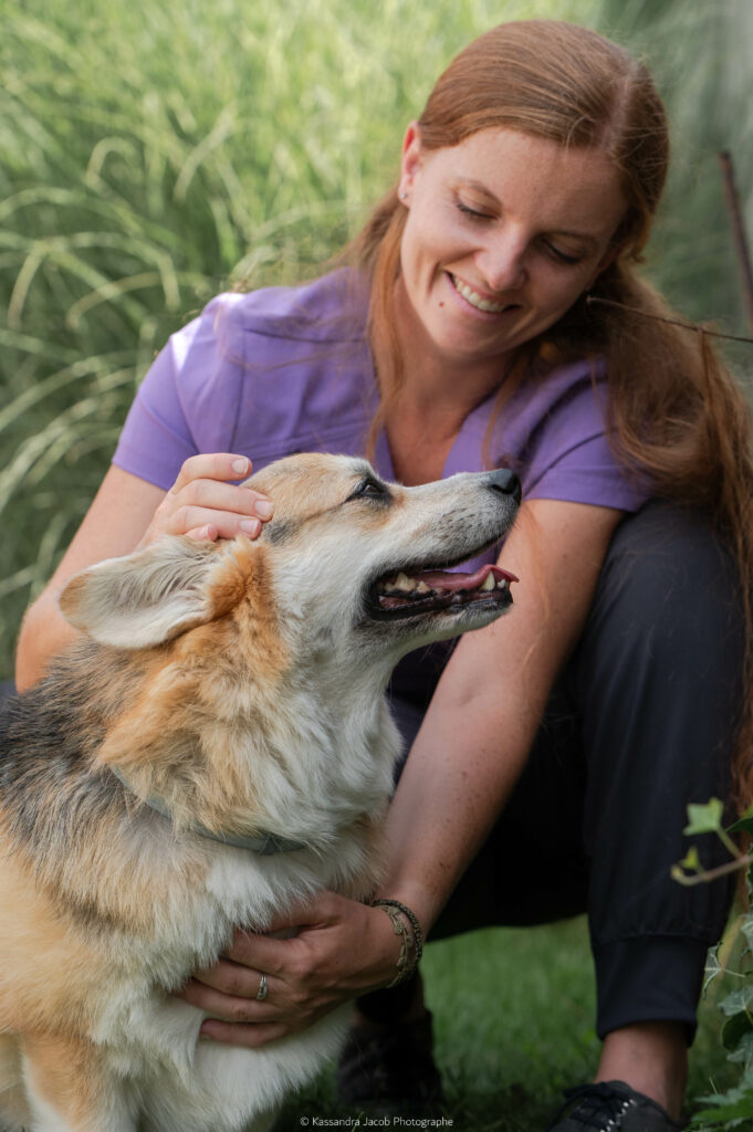 osteopathie animale chien à reims